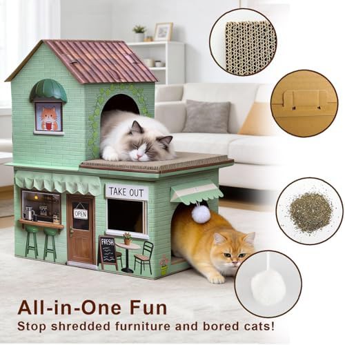 Sage green coffee shop cardboard cat house — photo 5