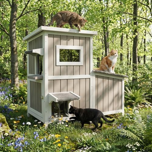 Grey wooden house with feeding station