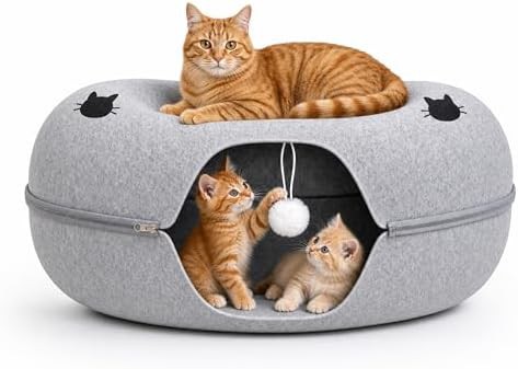 Comfort Bedz